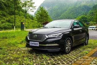 吃瓜群众里的迈腾,吃瓜群众眼中的汽车明星