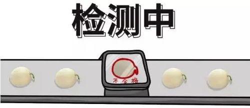 一个打酱油的吃瓜群众,酱油群众视角下的吃瓜奇观