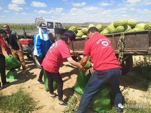 吃瓜群众的正确写法,揭秘“吃瓜群众”背后的真相与趣味
