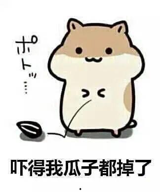 看客与吃瓜群众的区别,揭秘网络围观者的心理差异