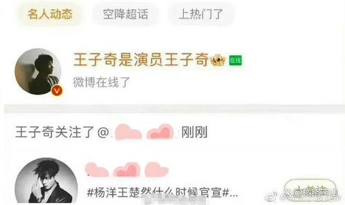 吃瓜群众王子奇小说,吃瓜群众眼中的宫廷风云