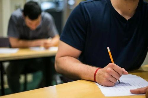 吃瓜群众时间管理大师,高效生活指南