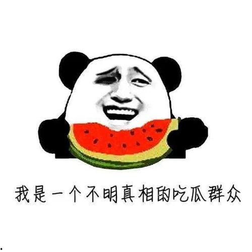 吃瓜群众群的,揭秘网络社交背后的趣味与真相