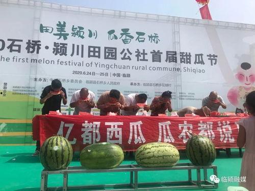 襄城吃瓜群众新闻,最新新闻事件深度解析