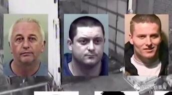 金华吃瓜群众案件,网络舆论下的法律边界与责任