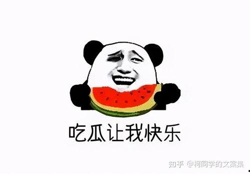 宝宝吃瓜群众文案搞笑,笑料横生,萌娃瓜界新势力