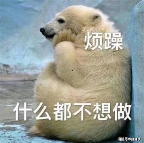 吃瓜群众撤退表情包图片,吃瓜群众撤退表情包背后的故事