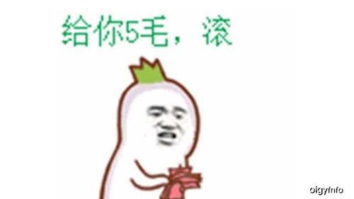 吃瓜群众怎么幽默回复你,幽默回应,笑料横生!