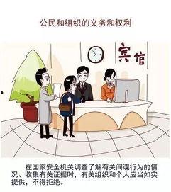 吃瓜群众应尊守法律法规,尊法守法,共筑和谐网络空间