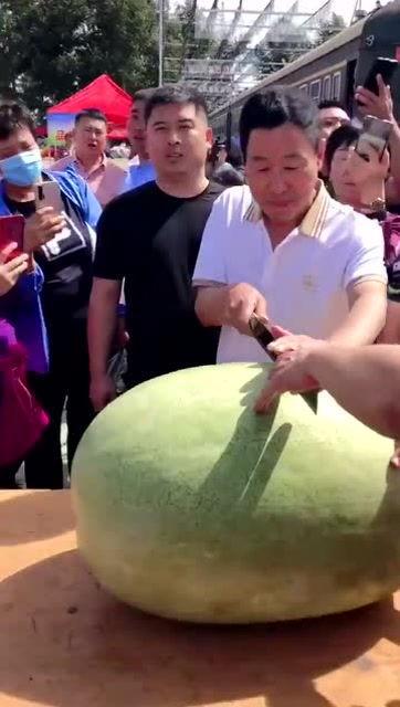 对吃瓜群众的感想,揭秘网络舆论背后的真实情感