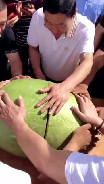 对吃瓜群众的感想,揭秘网络舆论背后的真实情感