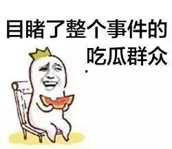 吃瓜群众手帐内容,揭秘娱乐圈幕后故事