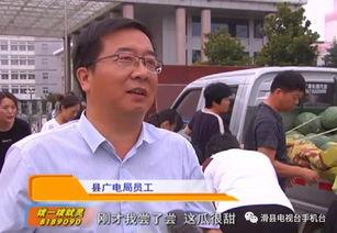 吃瓜群众员工,职场中的观察者与传播者