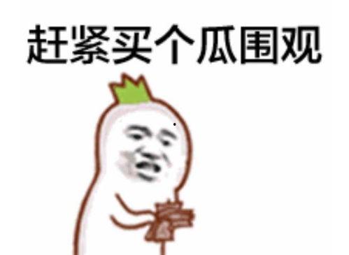 吃瓜群众主播排行榜,揭秘热门主播背后的风云变幻