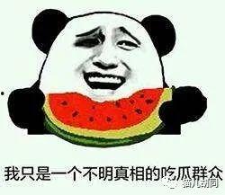 我不是精英吃瓜群众是谁,探寻网络红人的背后故事