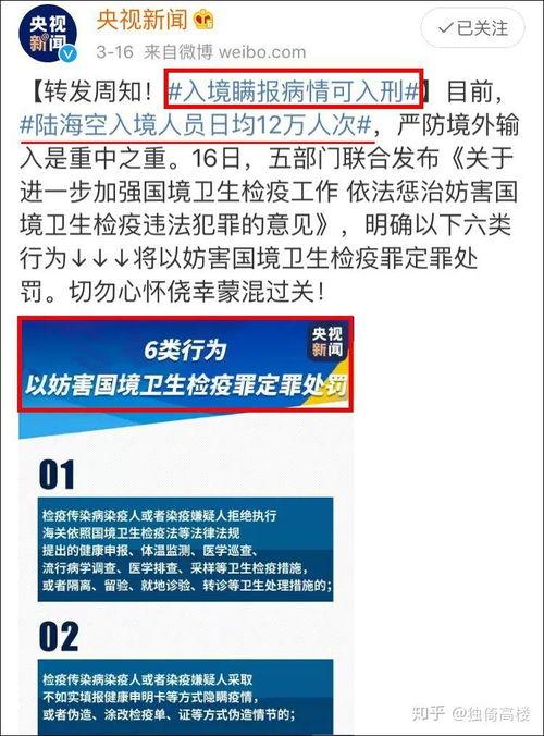 金田吃瓜群众事件始末,一场网络舆论的风暴与反思
