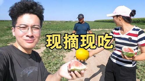 新疆的吃瓜群众是什么,独特地域文化的生动写照