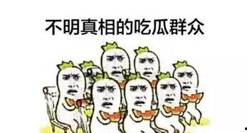 只是一吃瓜群众,一吃瓜群众视角下的娱乐圈风云录