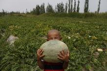 吃瓜群众看美国风景图片,吃瓜群众眼中的异国美景掠影