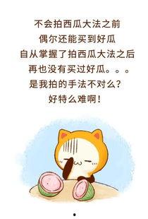 吃瓜群众不知真情下一句,揭秘“吃瓜群众”背后的真相与误解