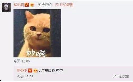 机智吃瓜群众流泪,机智吃瓜群众的感人瞬间