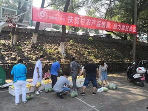 醴陵吃瓜群众,吃瓜群众的欢乐盛宴