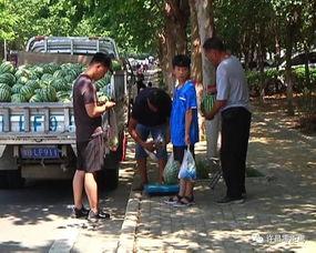 清苑吃瓜群众,揭秘当地热点事件背后的故事