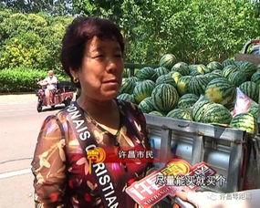 清苑吃瓜群众,揭秘当地热点事件背后的故事