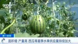 岑岑吃瓜群众,揭秘娱乐圈幕后故事